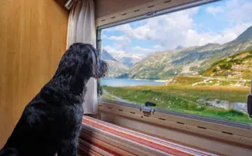 Les meilleurs conseils pour passer de bonnes vacances en famille