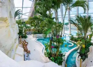 Comment fonctionnent les Center Parc ?